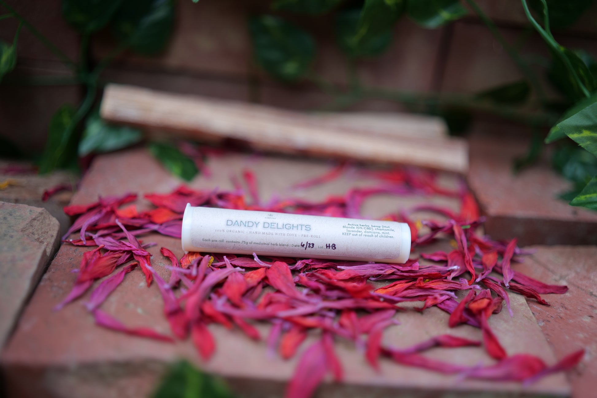 dandy delight pre-roll tube