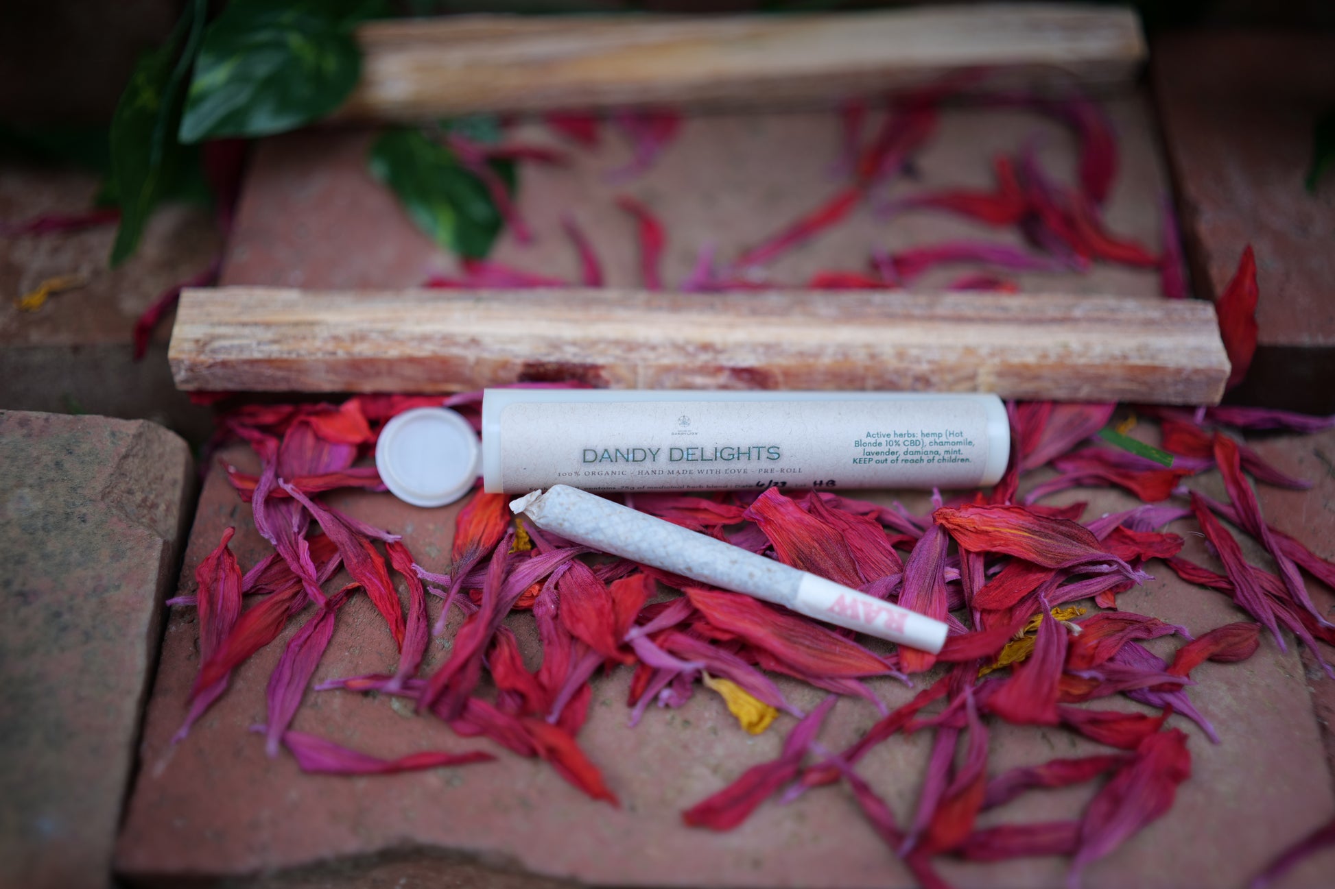 dandy delight pre-roll