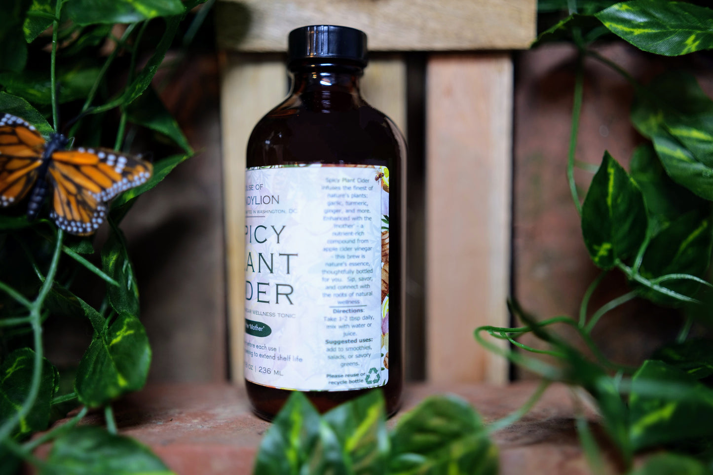 Spicy Plant Cider! π₯πΆ