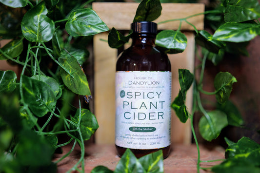 Spicy Plant Cider! 🔥🍶